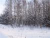 0431d26bc58f_t1.jpg