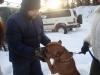 dsc01294_t1.jpg